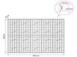 Gabion with 5 mm Wire and 10x10 cm Mesh 250x10x200 cm 3464975