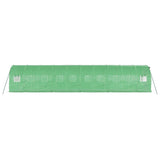 Greenhouse with Steel Frame Green 20 m 10x2x2 m 3188020