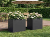 Garden Planter 2 pcs Black 40 x 30 x 40 cm Cold-rolled Steel 8005471