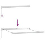 Manual Retractable Awning Brown 300x250 cm 3215718