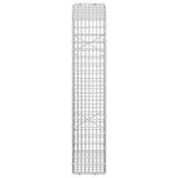 Gabion with 3.5 mm Wire and 5x2.5 cm Mesh 50x20x100 cm 3461659