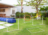 Six-Piece Dog Agility Equipment Set, with Carry Bag - Multicoloured T3398P349775