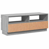 TV Cabinet with LED Lights Grey Sonoma 100x35x40 cm 815721