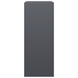 Firewood Rack Anthracite 60x40x100 cm Steel 850991