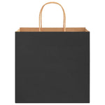 ZNTS Paper Bags 250 pcs with Handles Black 26x17x25 cm 4101647