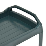 Beverage Cart Green 69x53x72 cm Plastic 48812
