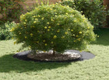 suitable for Flat Tree Rings 5 pcs Anthracite 60 / 90 cm Steel 873709