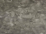 Flooring Planks 5.11 m 55 pcs PVC Gray and White 42046328