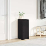 Shoe Cabinet Black Oak 29.5x34x76 cm Engineered Wood 861860