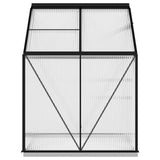 ZNTS Greenhouse Anthracite Aluminium 2.47 m² 312065