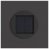 Solar LED Pathway Light 2 pcs Black Cold Rolled Steel 879758