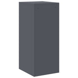 File Cabinet Anthracite 44 x 50 x 106.5 cm Cold-Rolled Steel 891600