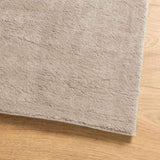 Rug HUARTE Short Pile Soft and Washable Sand 80x200 cm 375053