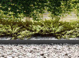 Lawn Edging 30 pcs Black 100 x 0.05 x 15 cm Cold Rolled Steel 865920