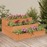 Garden Raised Bed Brown 120x120x56 cm Solid Wood Fir 364305