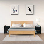Bedside Cabinets 2 pcs Black 50x35x61.5 cm Solid Wood Pine 813688