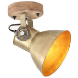 320509 Industrial Wall/Ceiling Lamps 2 pcs Brass 20x25 cm E27