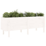 Garden Raised Bed White 160x50x57 cm Solid Wood Pine 825220
