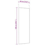 ZNTS Door Mirror Black 40x100 cm Glass and Aluminium 327408