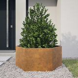 ZNTS Garden Planter Hexagon 104x90x45 cm Weathering Steel 851135