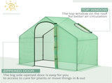 Mini Walk-in Greenhouse 56249419