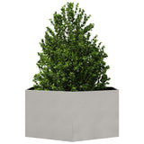 ZNTS Garden Planter Hexagon 104x90x45 cm Stainless Steel 851133