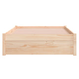 Bed Frame without Mattress Solid Wood 100x200 cm 814939