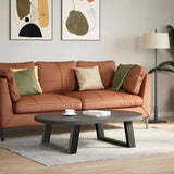 Coffee Table Legs U-Shaped 2 pcs Anthracite 70x cm Steel 4012754