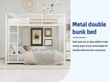 White metal bunk bed for both adults and children, with safety railing and ladder, mattress size W3987P434168