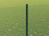 Welded Wire Fence 50 x 1.6 m PVC-Coated Steel Green 3336768