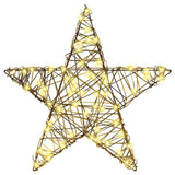 3D Star 50 LEDs Warm white 55 x 52.5 x 9 cm Rattan 42019104