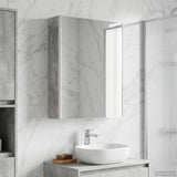 Bathroom Mirror Cabinet Concrete Grey 53.5 x 15.5 x 70 cm 889234