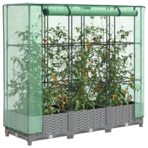 ZNTS Raised Bed with Greenhouse Cover Rattan Look 120x40x123 cm 4015853