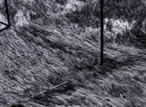 Shaggy Rug High Pile NAVARRA Dark Grey 200x200 cm Polyester 4102880