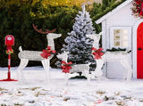 3-Piece Lighted Christmas Reindeer Family Set Outdoor Decorations, Weather Proof 2D Deer Family Set 92590347