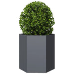 ZNTS Garden Planter Anthracite Hexagon 46x40x45 cm Steel 851112