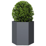 Garden Planter Anthracite Hexagon 46x40x45 cm Steel 851112