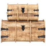 Storage Chest Natural wood Solid Mango Wood Medium Storage Chest 320374