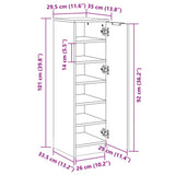 Shoe Cabinet Black 30x35x100 cm Engineered Wood 811431