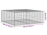 Gabion Basket with Cover 100x100x50 cm Galvanised Iron 3295178