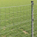 Euro Fence 1.5 x 10 m PVC-coated iron 42004632