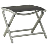 10 Piece Garden Dining Set Black and Silver 3070646
