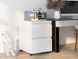 2-Drawer Mobile Filing Cabinet, Steel Lockable File Cabinet for Letter, A4 and Legal Size, T3398P343447