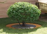 suitable for Flat Tree Rings 5 pcs Brown 60 / 90 cm 873717