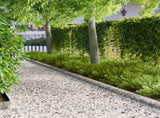 Lawn Edging 30 pcs 102 x 10 x 4 cm Steel Silver 8008759