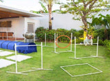 Six-Piece Dog Agility Equipment Set, with Carry Bag - Multicoloured T3398P349775
