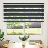 Zebra Blind Black 160x100 cm Fabric Width 155.9 cm Polyester 4014221
