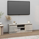 TV Cabinet with Door Concrete Grey 102x30x36 cm 823354