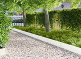 Lawn Edging 30 pcs 100 x 25 cm Steel White 8008607