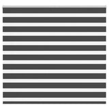 Zebra Blind Black 160x100 cm Fabric Width 155.9 cm Polyester 4014221